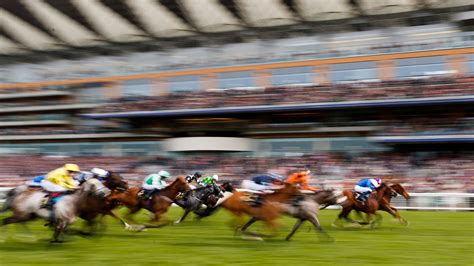 Wokingham Stakes Racecard .